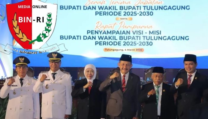 IMG 20250305 WA0131