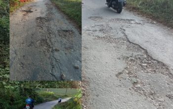 IMG 20250728 WA0044